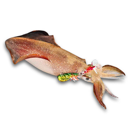 Triple X VB - Stinkybaits.com